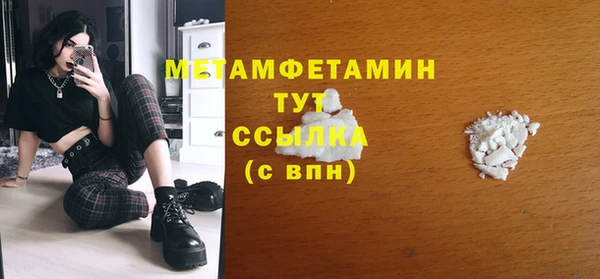 прущие грибы Верея