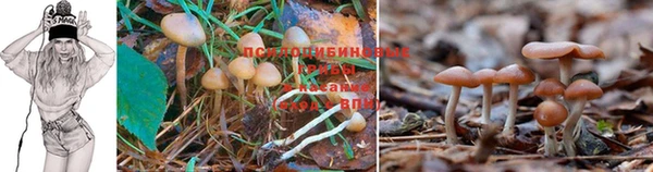 кокаин колумбия Нягань