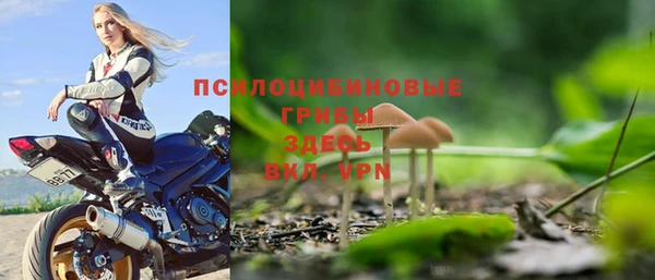 ALPHA-PVP Верхний Тагил