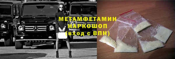 прущие грибы Верея