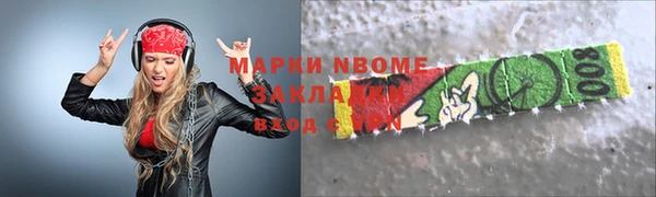 прущие грибы Верея