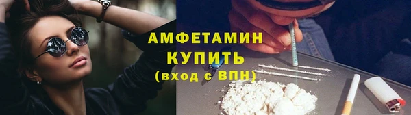 прущие грибы Верея