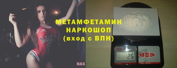 прущие грибы Верея