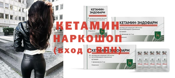 прущие грибы Верея