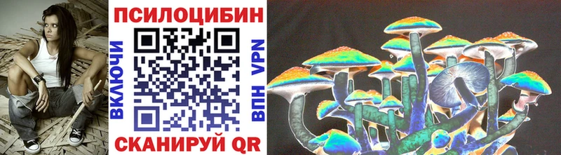 наркошоп  Северобайкальск  Псилоцибиновые грибы Magic Shrooms 