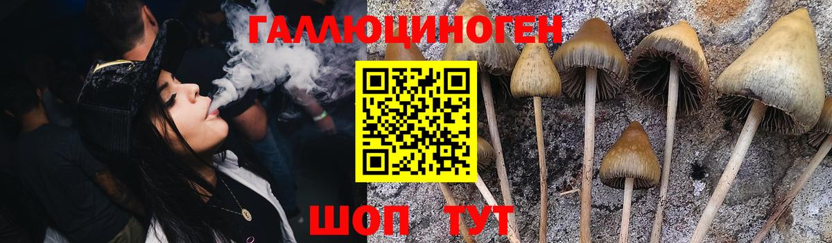 Галлюциногенные грибы MAGIC MUSHROOMS Северобайкальск