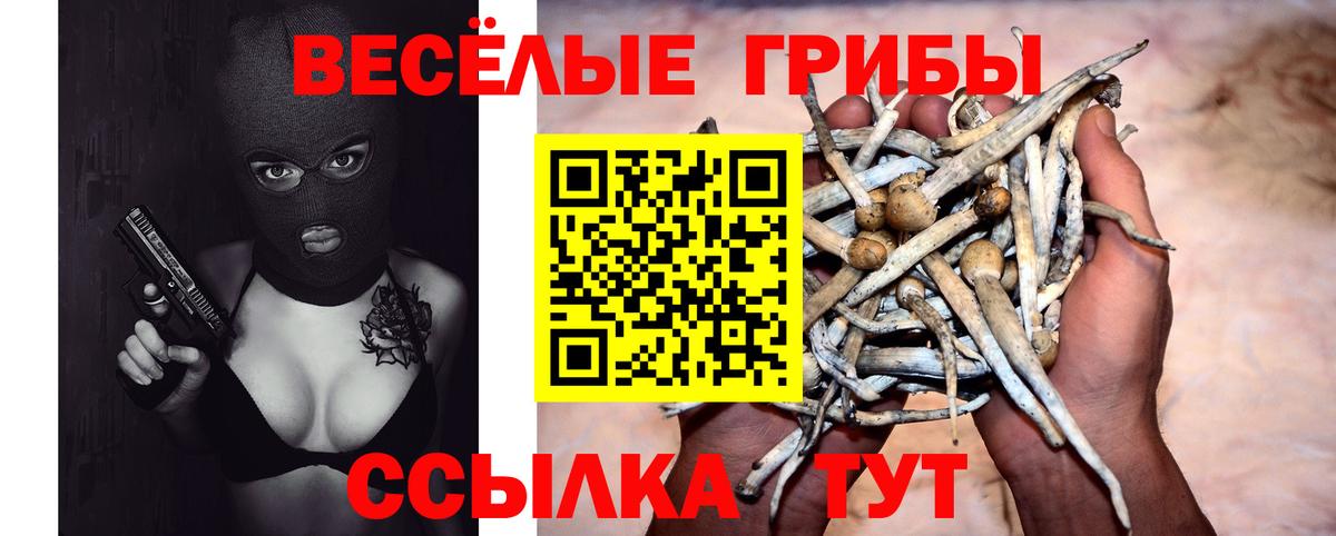 Северобайкальск  Галлюциногенные грибы ЛСД  Вход с VPN 